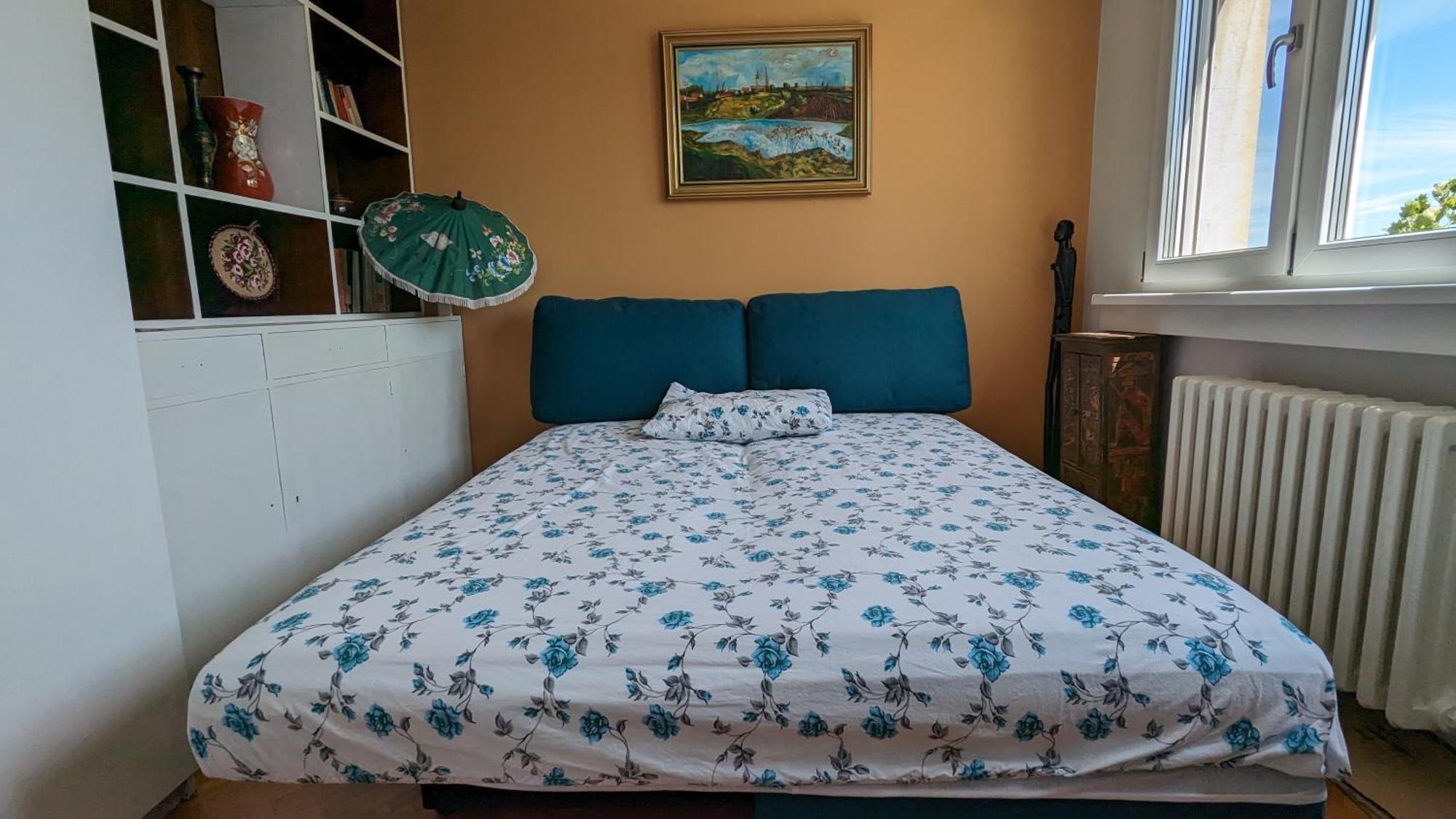 Center, Private Garage, Danube & Fortress, 3 Bdrm 2 Bath Новий Сад Екстер'єр фото